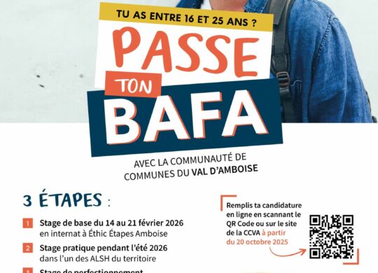 affiche_dispositif_BAFA_A4 _ web